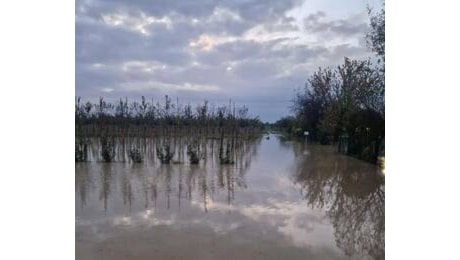 Maltempo, Coldiretti ER: colpito il cuore della regione