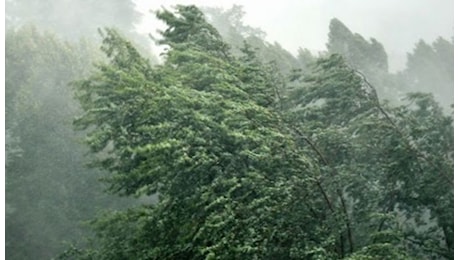 Estesa l’allerta meteo arancione per vento forte in Alto Mugello