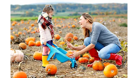 Dove visitare i campi di zucca in Emilia Romagna