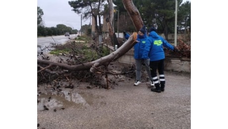 In Puglia vento, pioggia e prima neve: allerta meteo gialla per la vigilia di Natale. Danni a Foggia