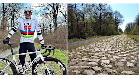 Da vittima del disboscamento, a icona del ciclismo: storia della Foresta di Arenberg, dove si decide Parigi-Roubaix