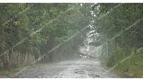 In arrivo venti forti, temporali e nevicate. Allerta meteo nel Lazio