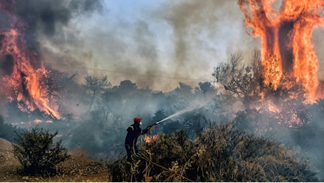 Il caldo estremo ha causato la morte di 50mila persone in Europa