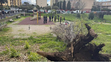 Porta i figli a giocare al parco, muore schiacciata da un albero caduto per il vento. Ferita l'amica