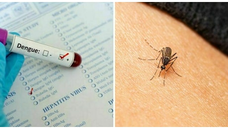 Dengue a Fano, 105 casi più 14 probabili (tutti autoctoni). Caccia alle zanzare, analisi per capire la trasmissione del virus. Burioni, ancora polemica sul kit