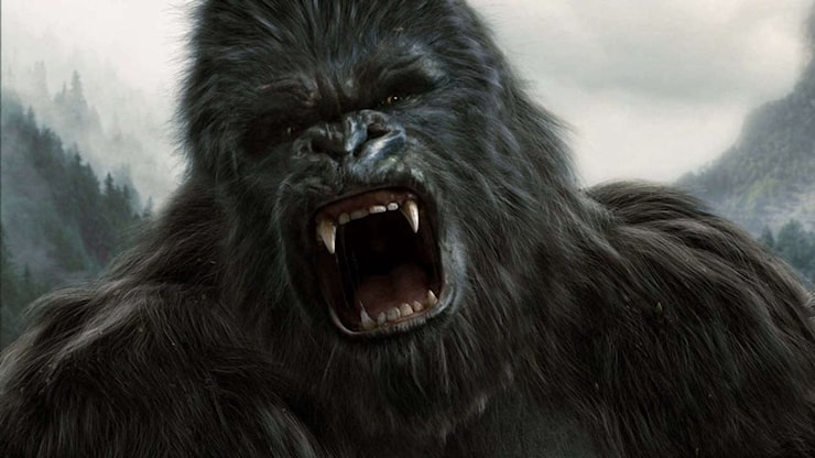 King Kong: nuovi libri in arrivo per espandere l’universo del leggendario franchise! Scopri cosa aspettarti! - SofiaOggi.com