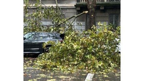 Maltempo, allerta arancione per rischio idrogeologico in Lombardia. Vento e alberi caduti in città a Milano