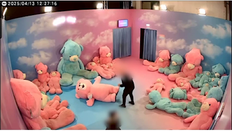 Entra e dà un pugno all'orso di peluche: picchiata la mascotte della mostra «Art of Play» a Roma