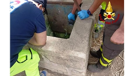 Sicilia, bimbo caduto nel pozzo: “chiedeva aiuto, ha parlato con i genitori”