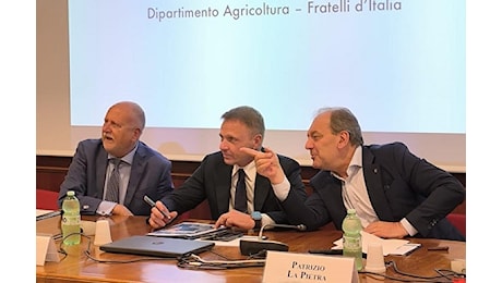 G7 Agricoltura: deputato Mattia (Fratelli d'Italia): successo che conferma interesse crescente per settore