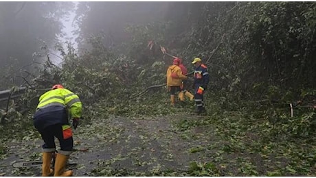 Maltempo a Montignoso, chiusa per smottamenti la strada provinciale Sp1