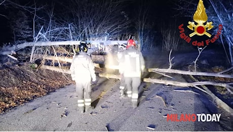 Alberi caduti e strade bloccate: i danni delle forti raffiche di vento