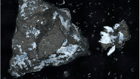 I campioni dell'asteroide Bennu raccolti da OSIRIS-REx contengono anche fosfati