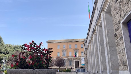 Nasce la Fondazione Innovation Bridge: un ponte glocal tra persone, aziende e istituzioni