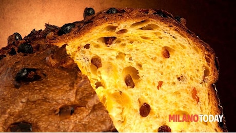 La festa del panettone artigianale (con degustazioni gratis)