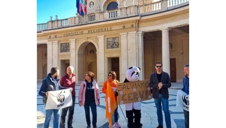 Le associazioni ambientaliste e animaliste annunciano il ricorso al Consiglio di Stato contro la caccia al cervo