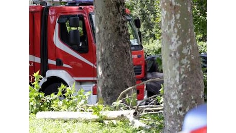 Roma, cade albero per il forte vento: morta una donna a Colli Aniene