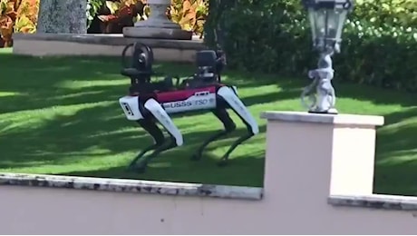 Cane robot pattuglia la residenza di Donald Trump a Mar-a-Lago