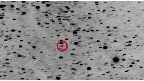 Avvistata una nuova cometa, 31/Atlas si trova a 510 milioni di chilometri dalla Terra. La scoperta a Bologna