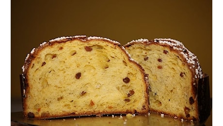 Re Panettone 2024 a Milano: programma, date ed eventi