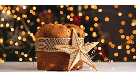 Coppa del Mondo del Panettone 2024: chi sono i vincitori?