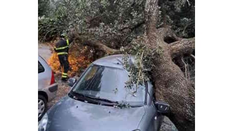 Maltempo Livorno, gli interventi dei vigili del fuoco