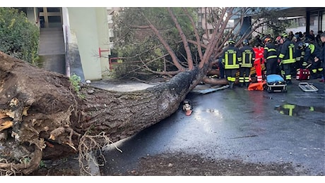 Albero caduto nel Campus di Fisciano. Spuntano indiscrezioni sull’allerta meteo