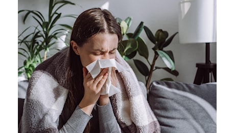 Influenza, casi in aumento in Lombardia. Pregliasco: “Inizio intenso, il picco durante le festività di Natale”