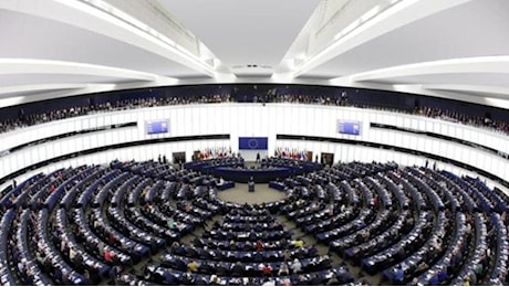 Parlamento europeo, nel nuovo gruppo di ultradestra «Europa delle nazioni sovrane» c'è chi inneggia allo slogan: «Non vogliamo ebrei, gay, aborto, tasse e Ue»