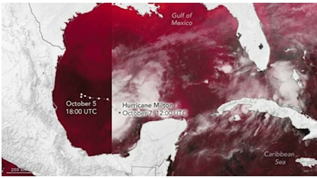 Uragano Milton, perché è la tempesta più forte degli ultimi 100 anni: la forza del vento e le temperature, così si è trasformato