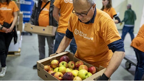 Colletta alimentare. La raccolta oggi anche nei negozi Carrefour