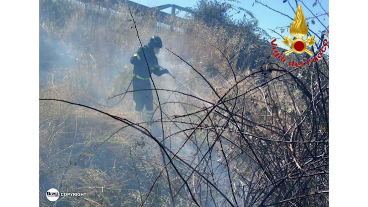 Fiumicino - Vasto incendio in zona Montanari minaccia case e campo fotovoltaico, vigili del fuoco in azione - EtruriaNews - Fiumicino - Vasto incendio in zona Montanari minaccia case e campo fotovoltaico, vigili del fuoco in azione - EtruriaNews -