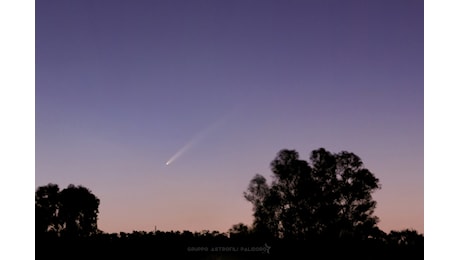 La Cometa C/2023 A3 Tsuchishan-ATLAS sulle campagne di Palidoro | FOTO