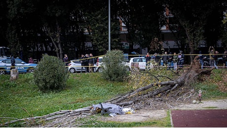 Roma, albero caduto a Colli Aniene: il vento, il boato, le grida dei bambini. Francesca Ianni morta sul colpo davanti ai figli