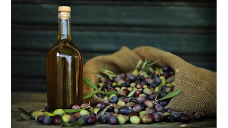 Olio di oliva sempre più caro, arriva il test comparativo di Altroconsumo per risparmiare