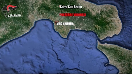Operazione contro la 'ndrangheta nel Vibonese: la faida tra clan dietro la Strage di Ariola