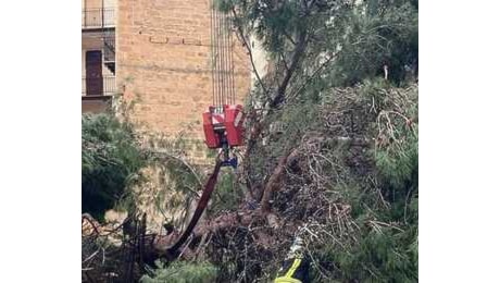 Alberi caduti sulle auto, blackout e voragini: il maltempo fa danni in città e in provincia