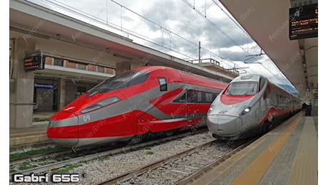 Ferrovie: Donnarumma (FS): Per le ferrovie il più grande progetto fotovoltaico italiano