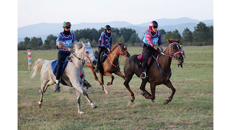 Castiglione del Lago: Costanza Laliscia vince lo Zigulí Test Event FEI Endurance European Championship