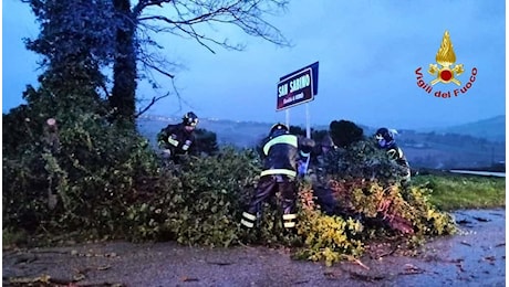 Maltempo / In provincia 75 interventi dei Vigili del Fuoco