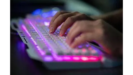“Cultura Incel viaggia indisturbata sul web”, Morcellini lancia l’allarme