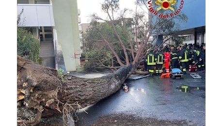 Albero sugli studenti all’università a Fisciano, ancora gravissimo il 25enne: “Serve sangue”