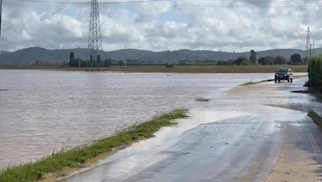 Disastro maltempo, diretta: Venturina e Suvereto, allagamenti e gravi danni