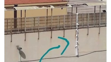 Come in un film: si calano con le lenzuola e scappano dal carcere minorile