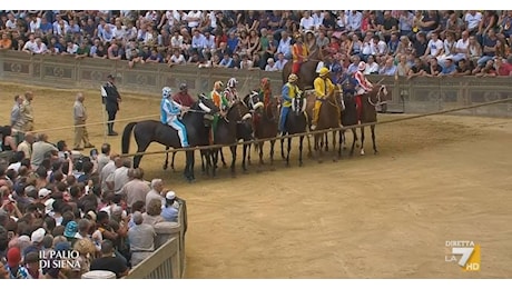 Palio di Siena, un incredibile caso televisivo: anche quando i cavalli non corrono...