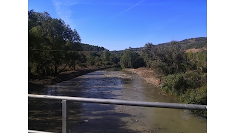 Garanzie per qualità dell'acqua fiume Basento, interrogazione Consiglieri regionali Chiorazzo e Vizziello (Basilicata Casa Comune)