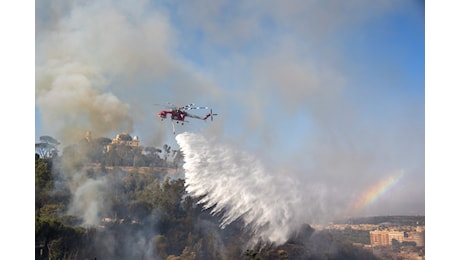 Roma, incendio Monte Mario: danni ingenti a flora e fauna