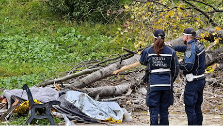 Francesca Ianni uccisa da un albero davanti ai figli: la procura indaga per omicidio colposo