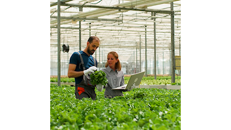 Imprese agricole giovanili, istituiti sei nuovi codici tributo F24