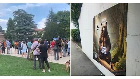 Ozmo dedica a KJ1 l'opera Siamo Bestie. L'affiche è stata sistemata nel sottopassaggio di via Maestri a Trento. Era davvero necessario ucciderla?